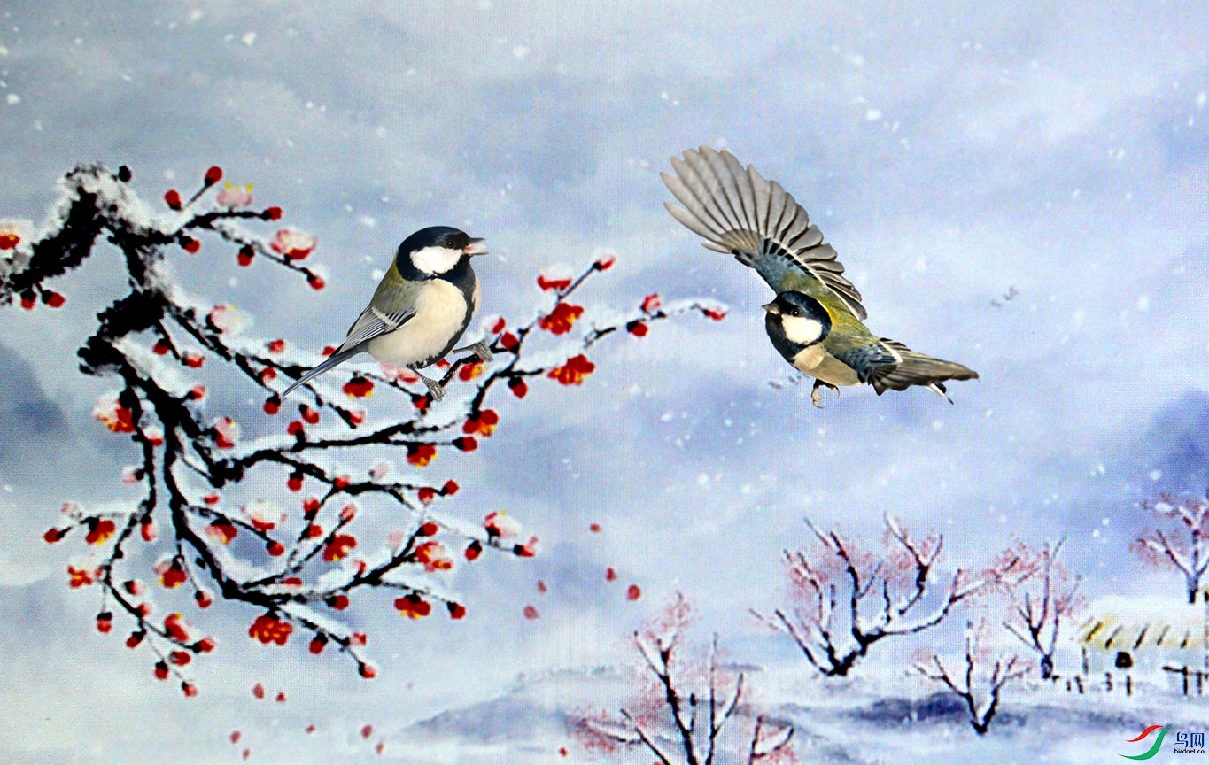 5.�����ѩ��ɽȸ-��ɽȸ7557AM.jpg