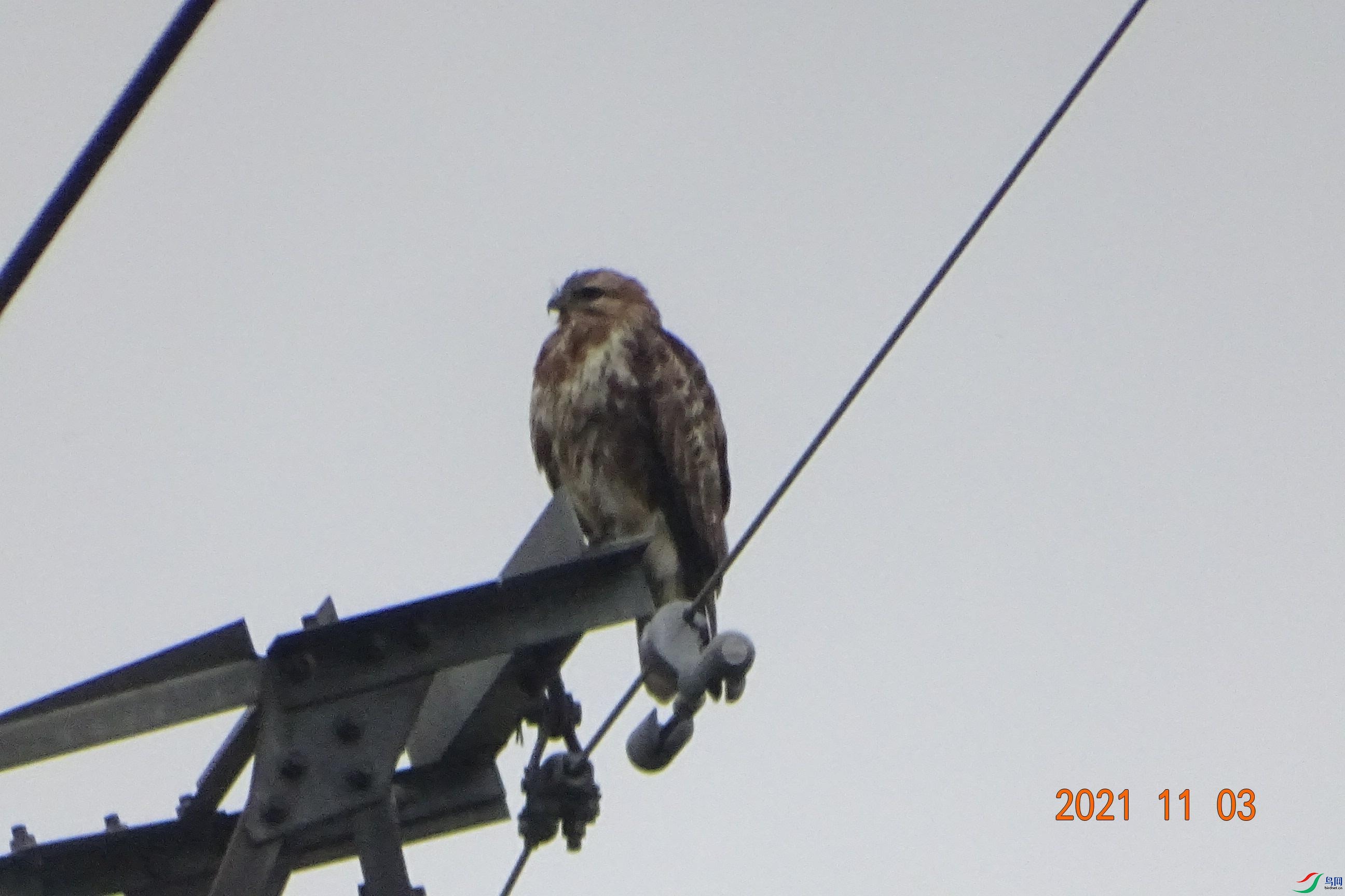 �����������ޣ���������