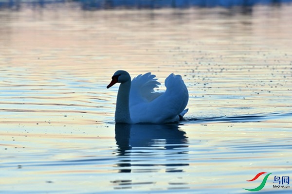 File0000079314 - ����.jpg