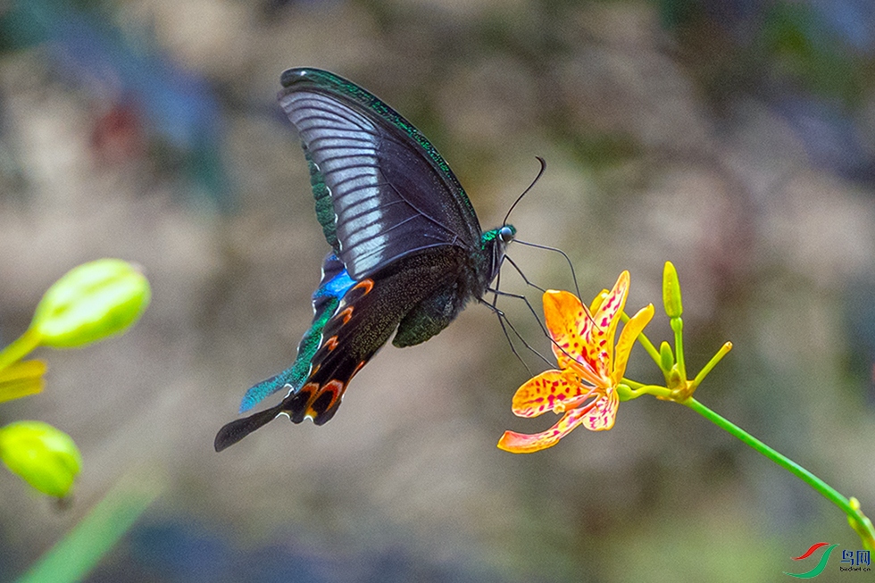 ��LPY_5630.jpg