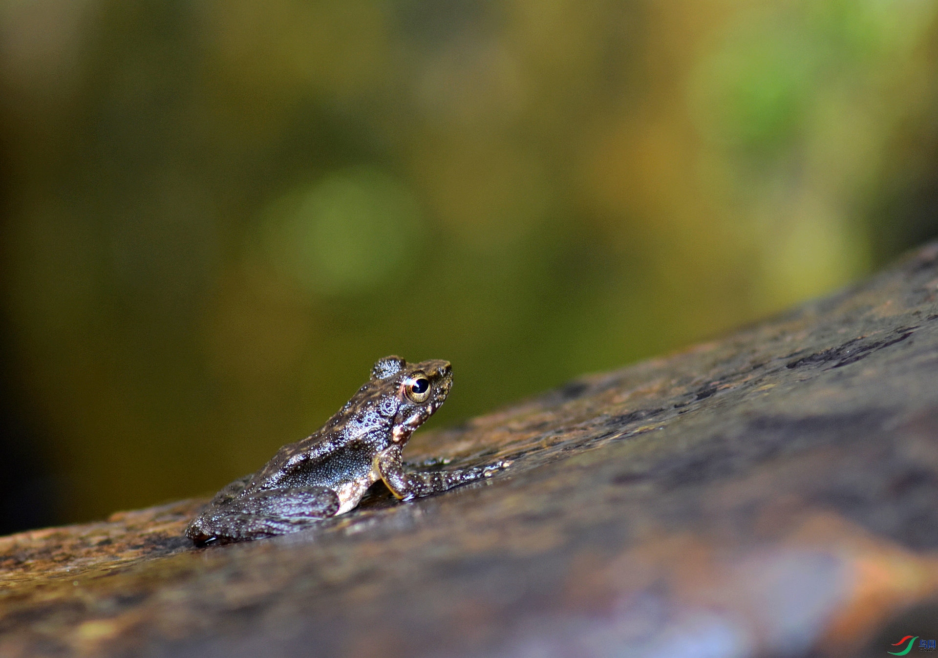 D72_7080.jpg