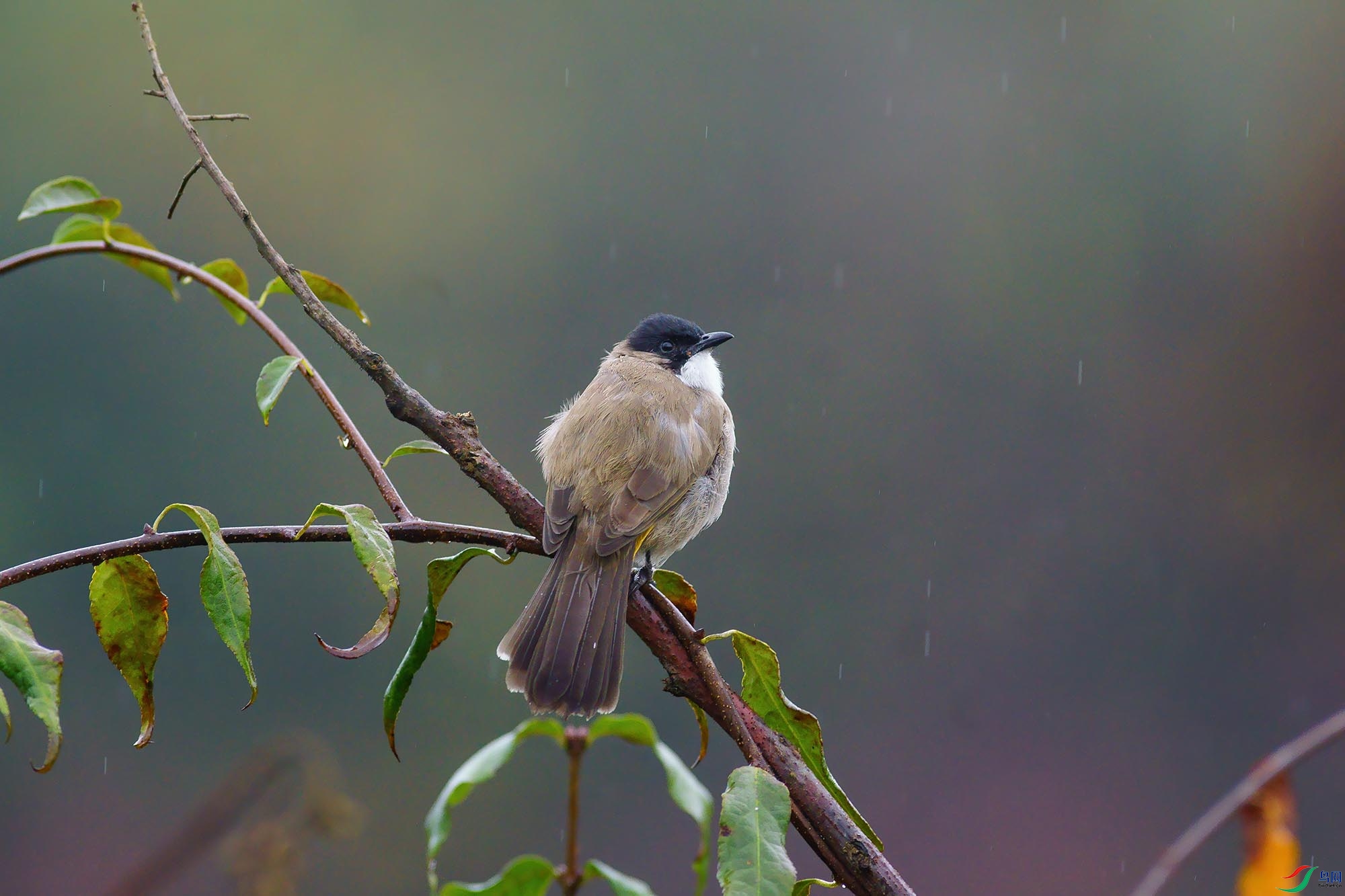 _DSC9422-1-denoise-denoise.jpg
