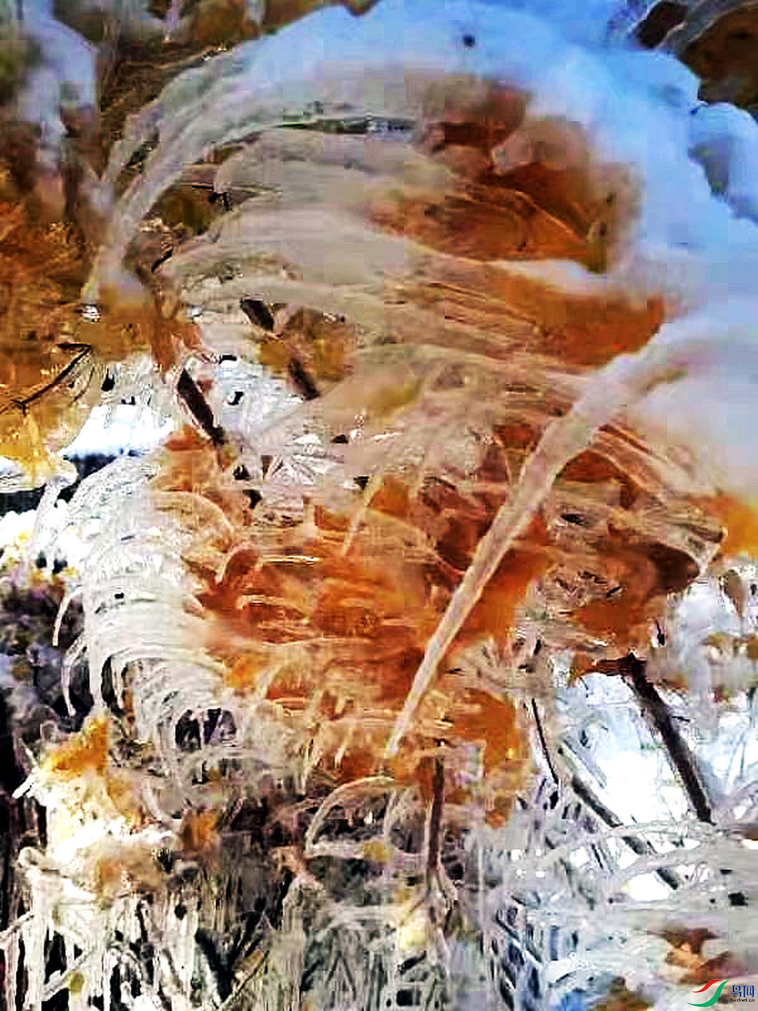 psc (28)_����.jpg