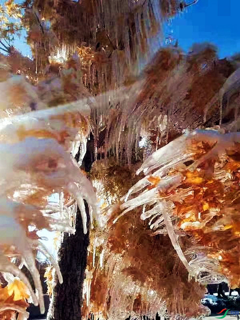 psc (24)_����.jpg