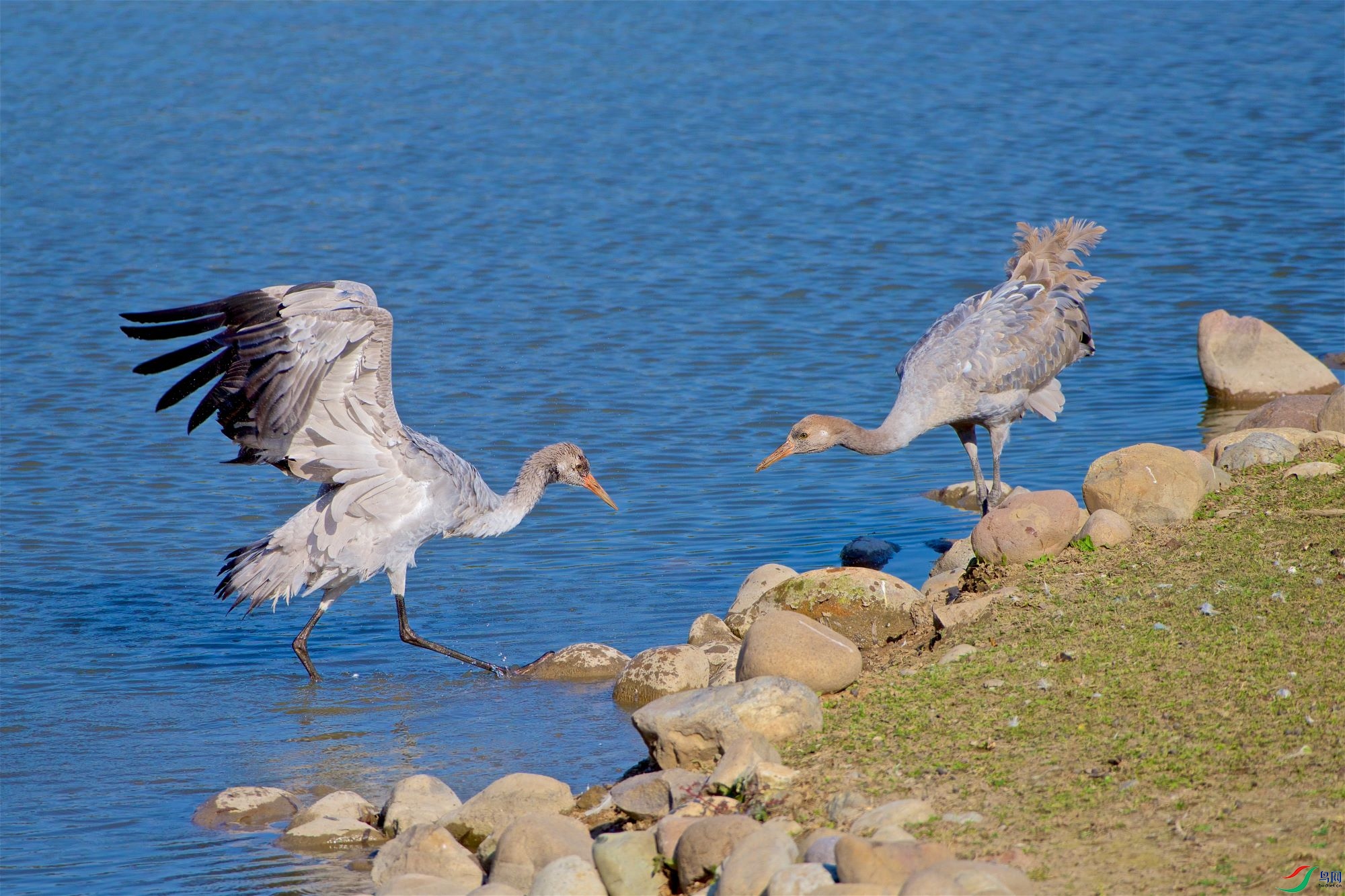 DSC_5513.jpg