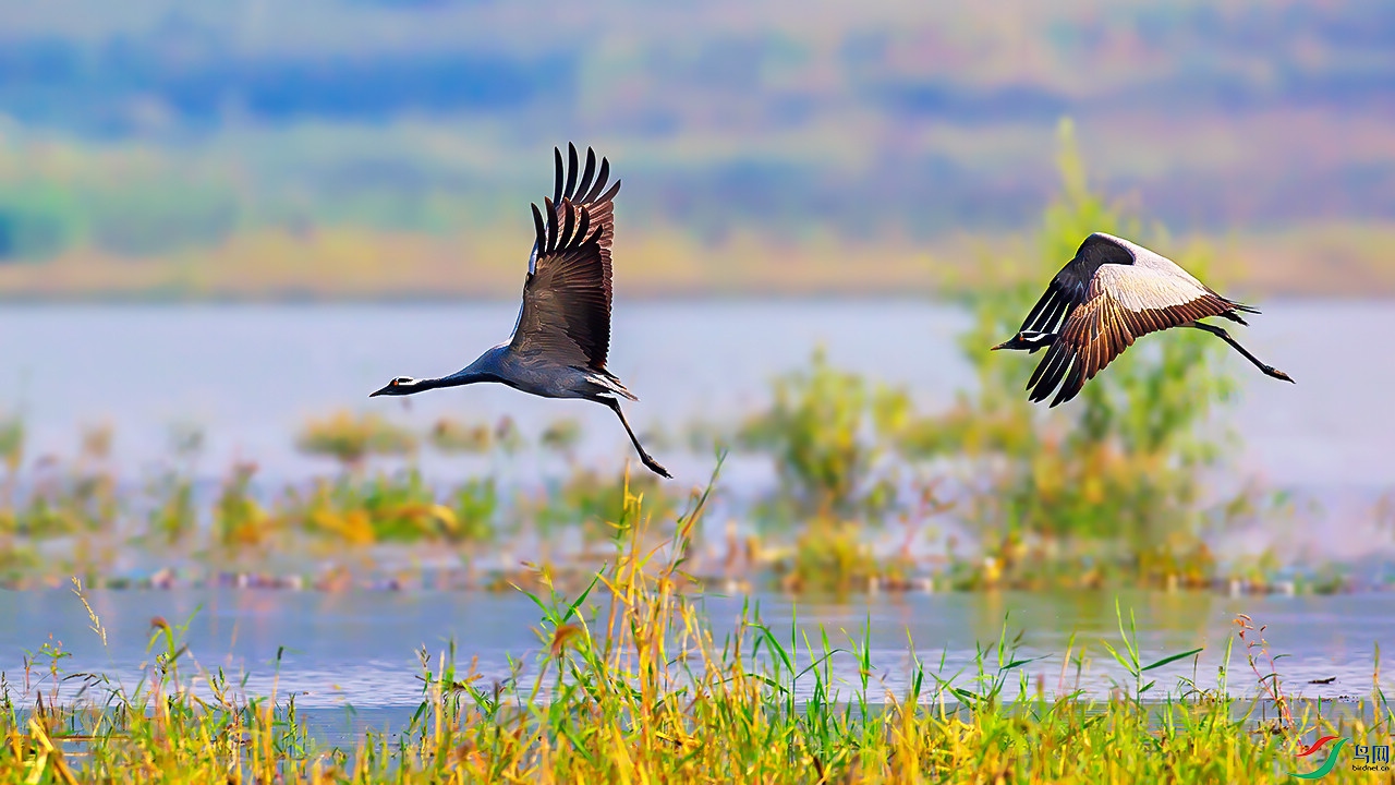 A56I0489-SharpenAI-motion.jpg