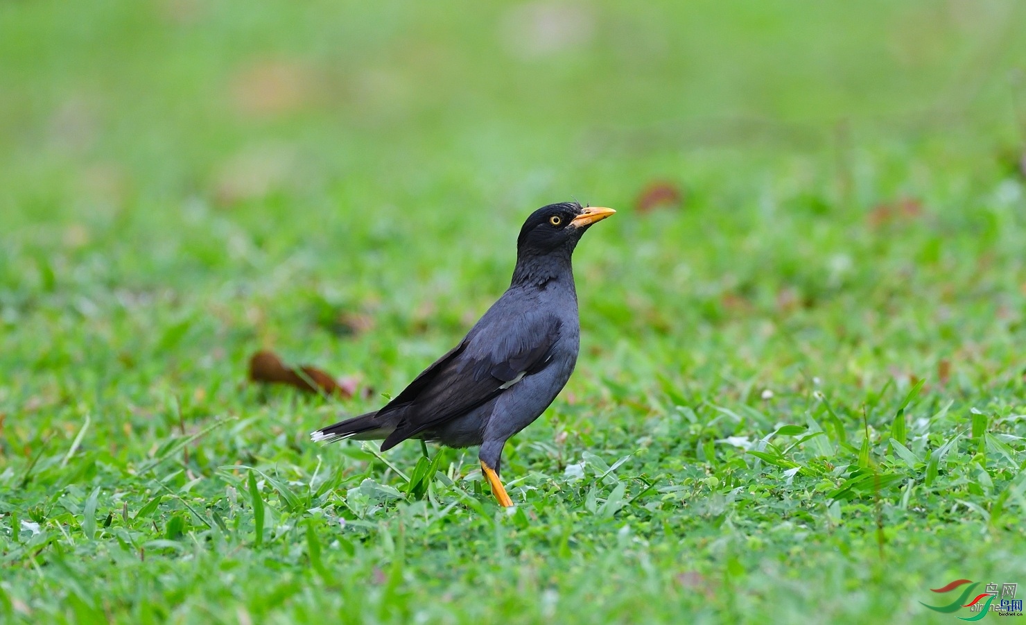 ��Ӱ���2012  ��ʦ�������¼���.jpg