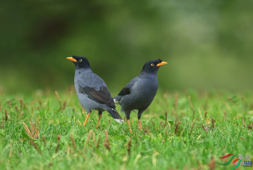 ��ķ  ��ʦ�����ڹ㶫ʡտ����������.jpg