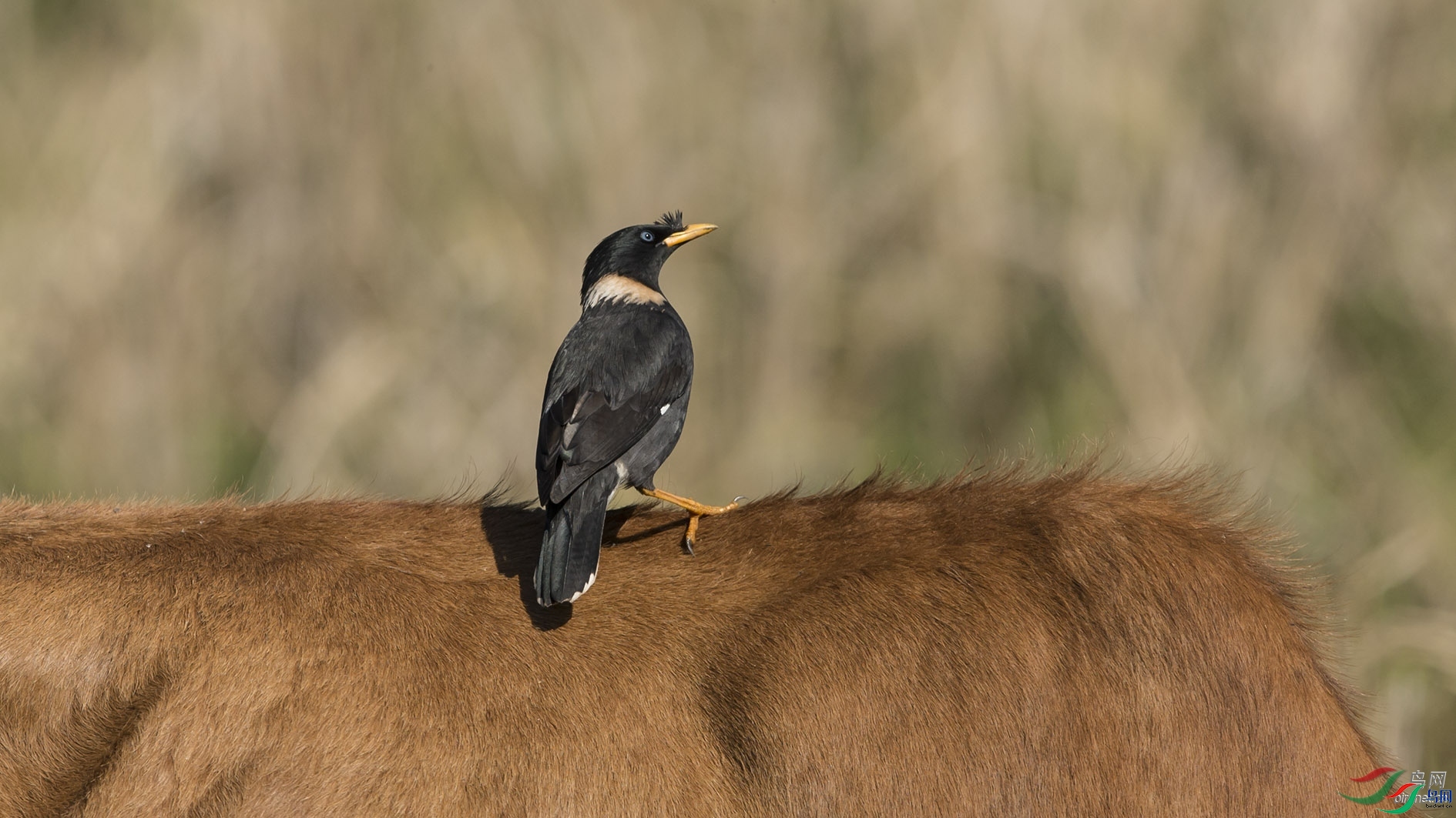 ȸ����Ӱ  ��ʦ����.jpg