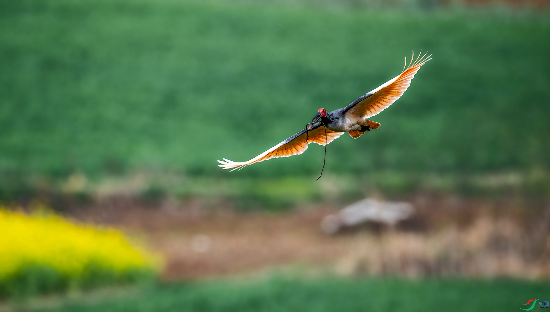 _DSC5813==1w.jpg