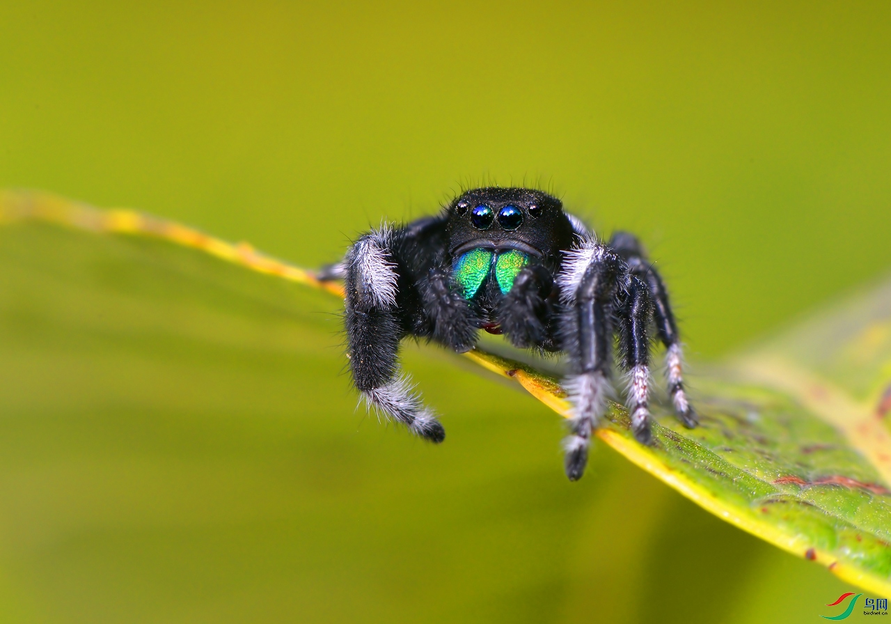 DSC_1032 ��������.jpg