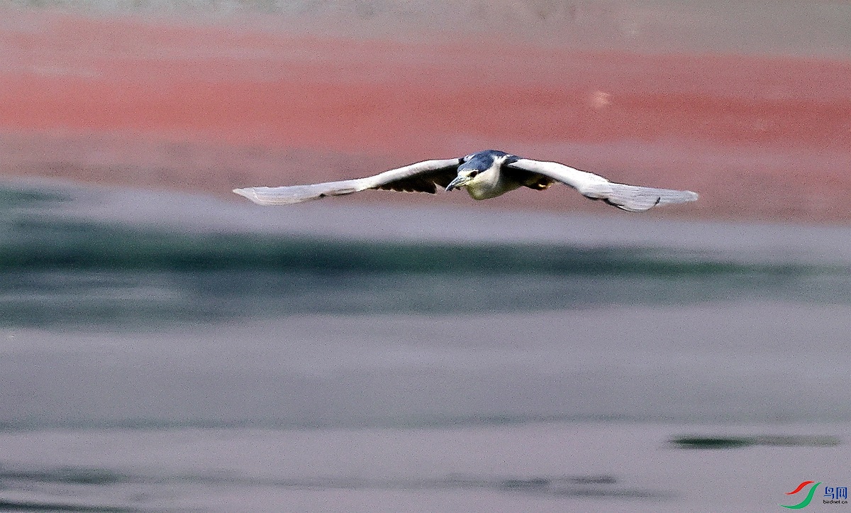 3A1982ҹ��.JPG