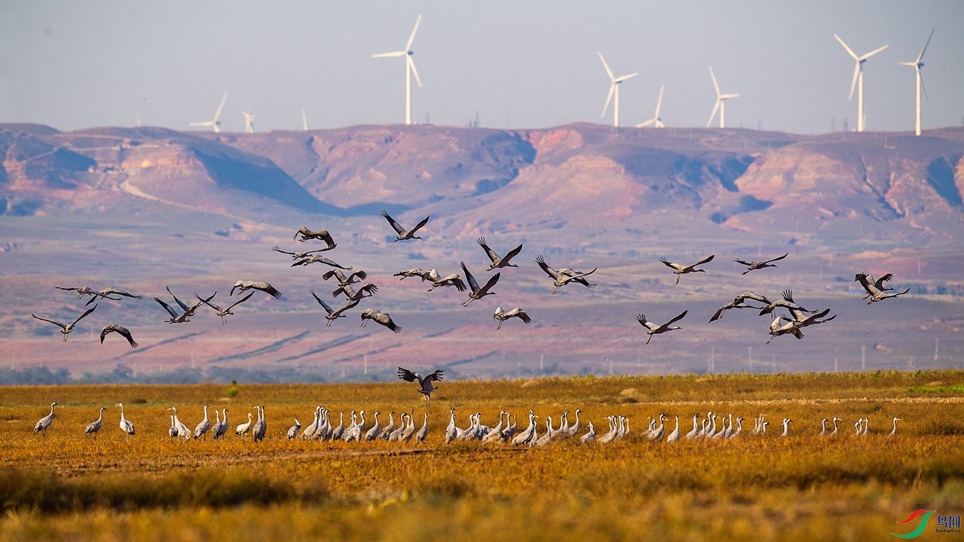 DSC_1526 - ����.jpg