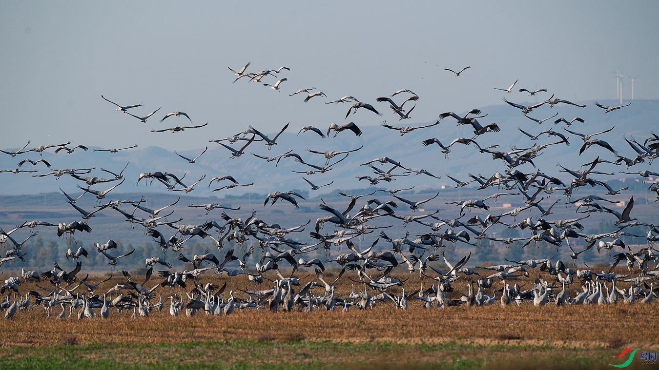 DSC_1208 - ����.jpg