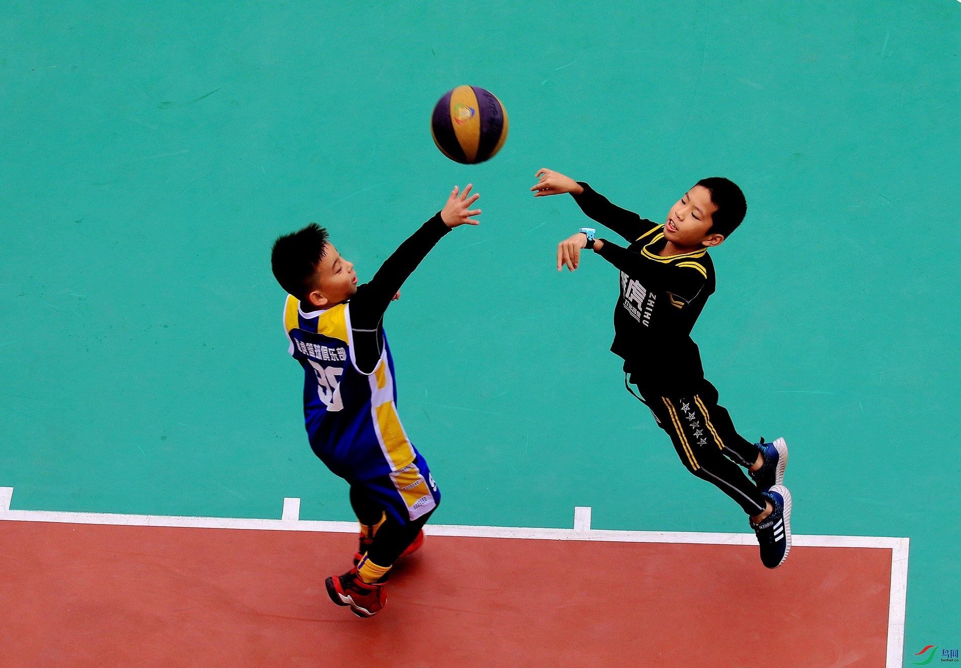 ����Ϸ��