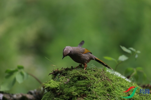 DPP_67.JPG
