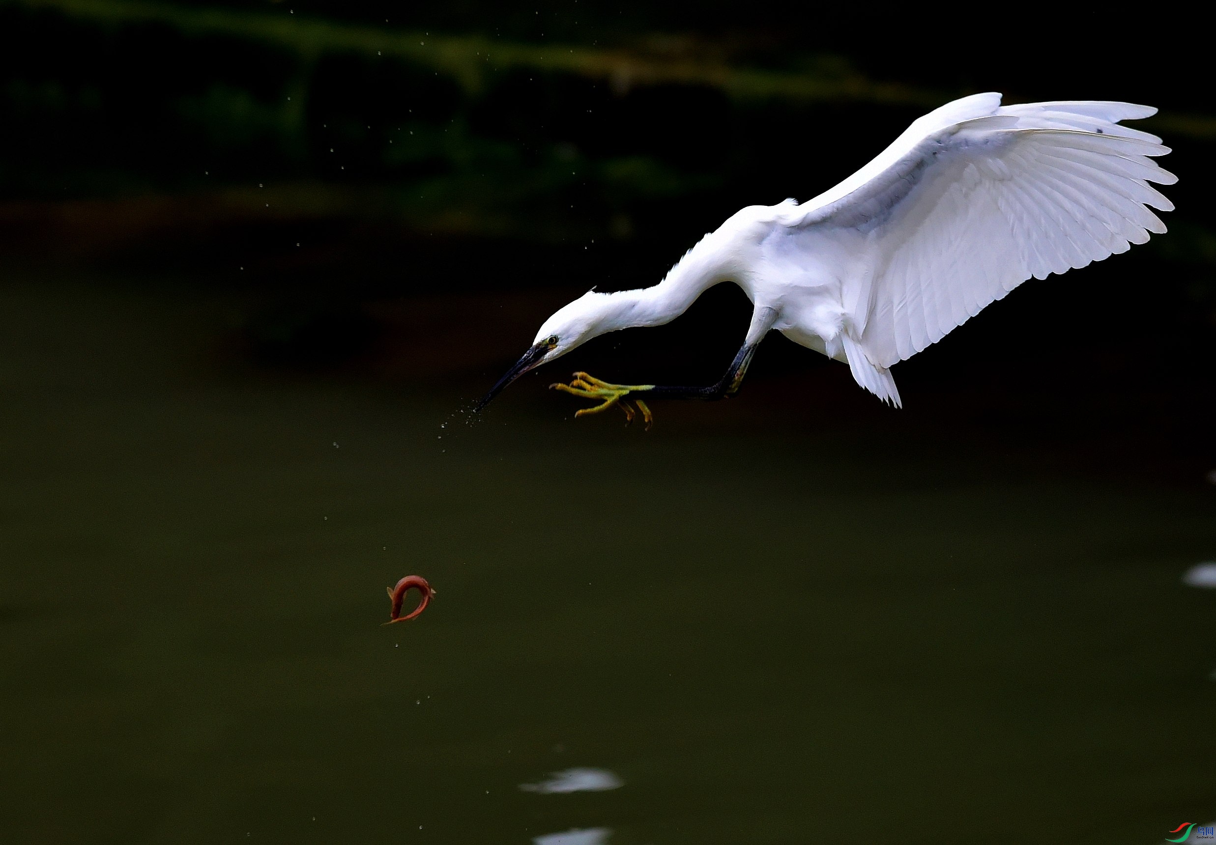 DSC_8746_conew4.jpg