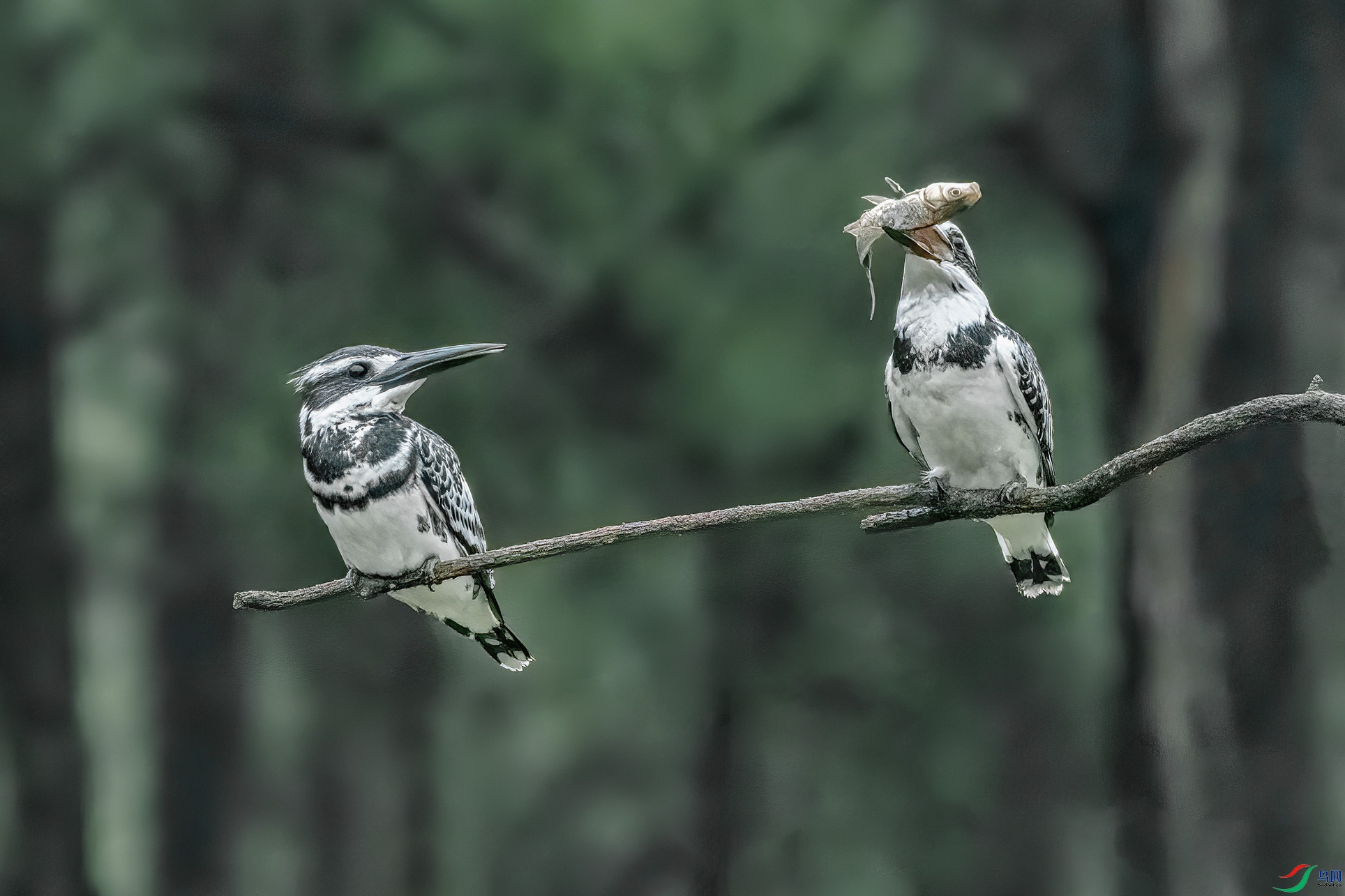 DSC_8816-1.jpg