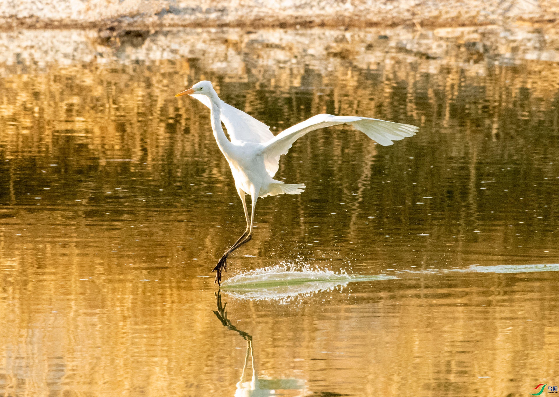 _DSC9800_����_����.jpg