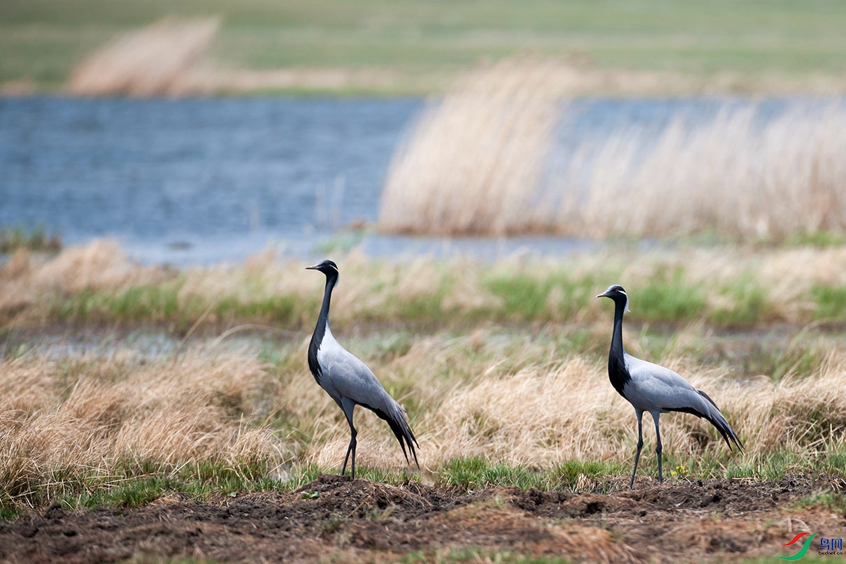 DSC_0652.jpg
