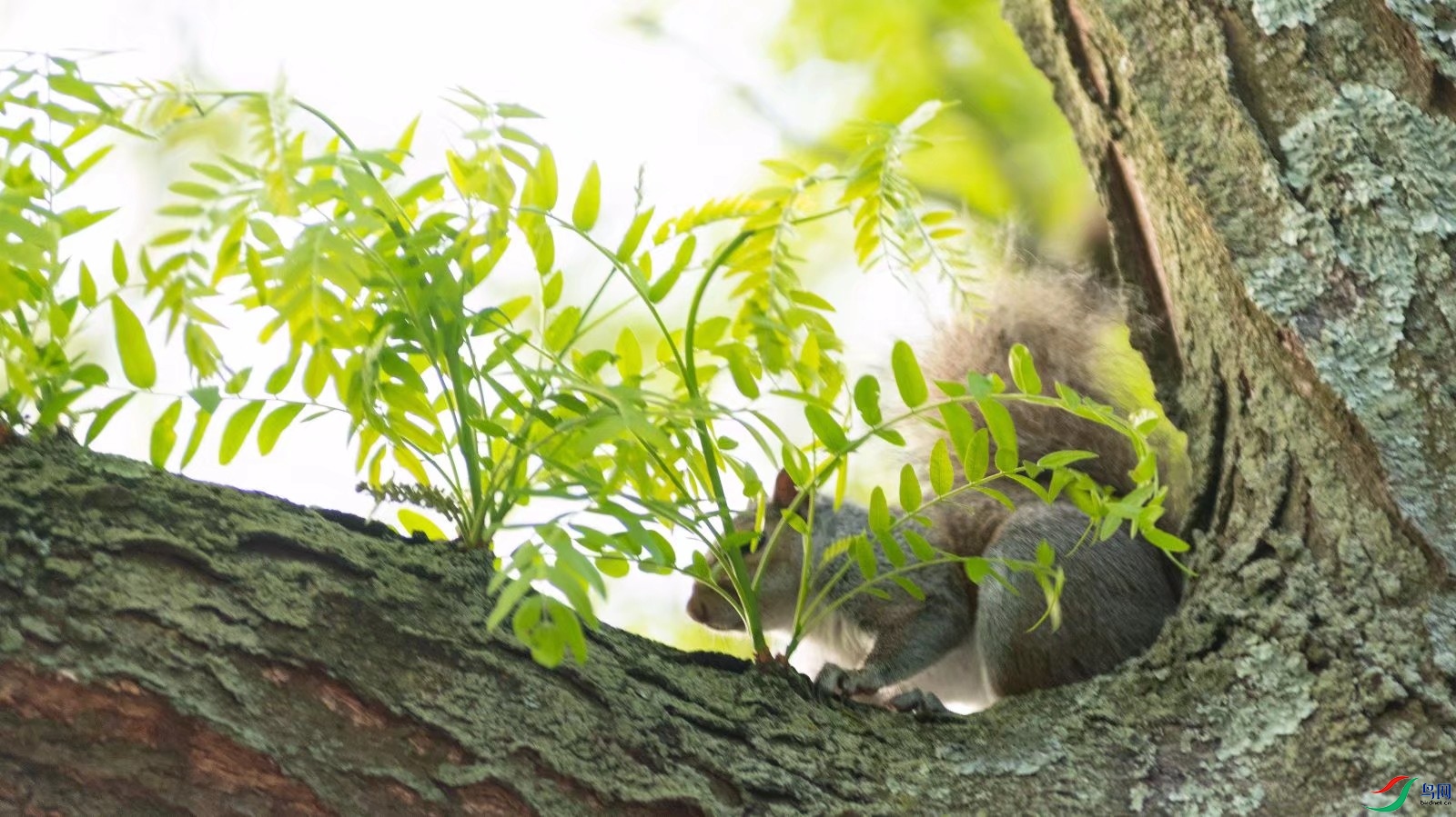 �����������ģ�