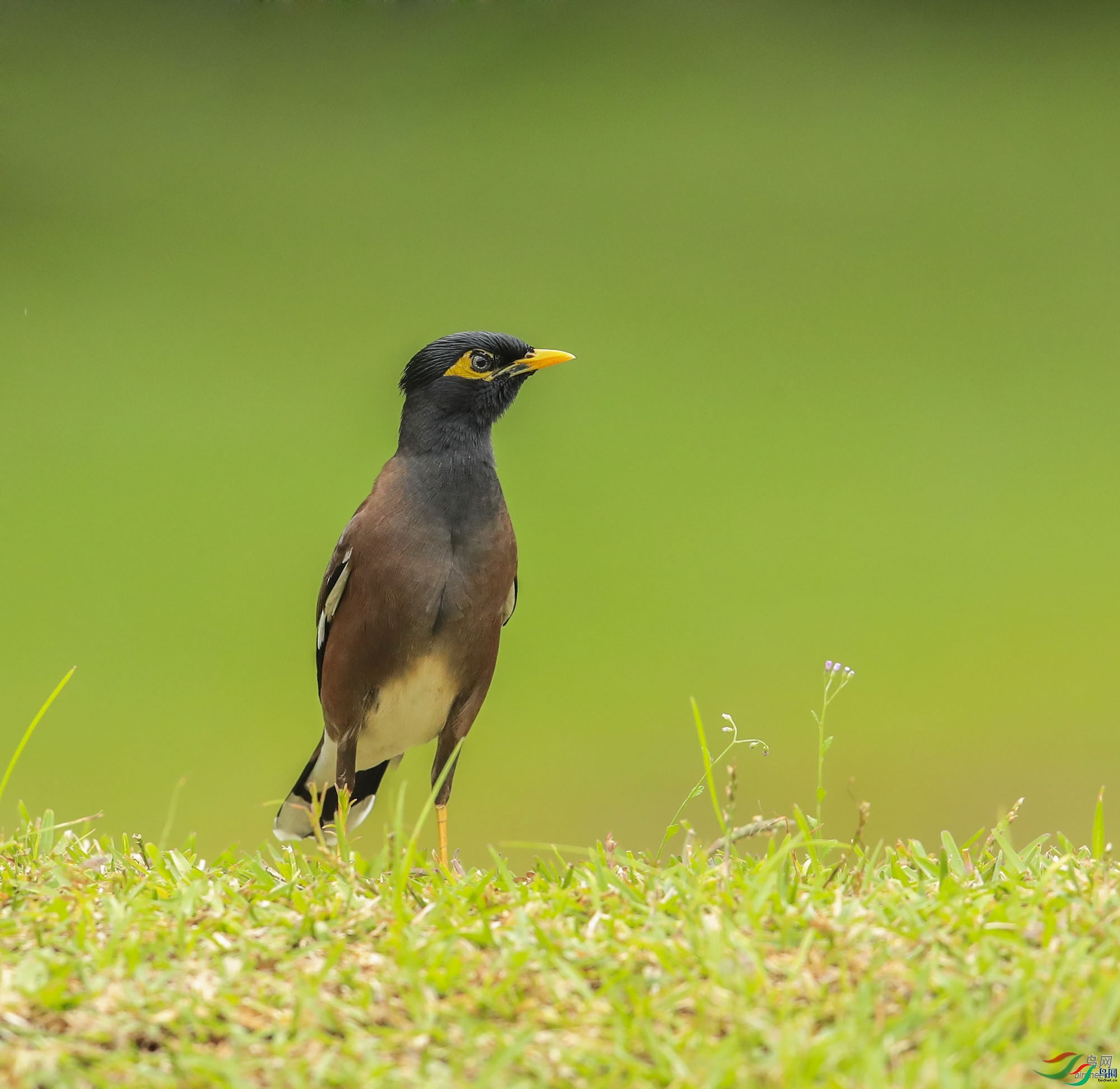 һ����  ��ʦ����.jpg