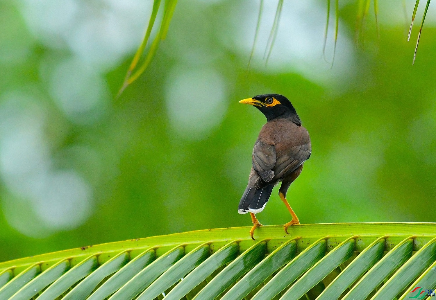 �ϵ�  ��ʦ����������ʡ������0.jpg