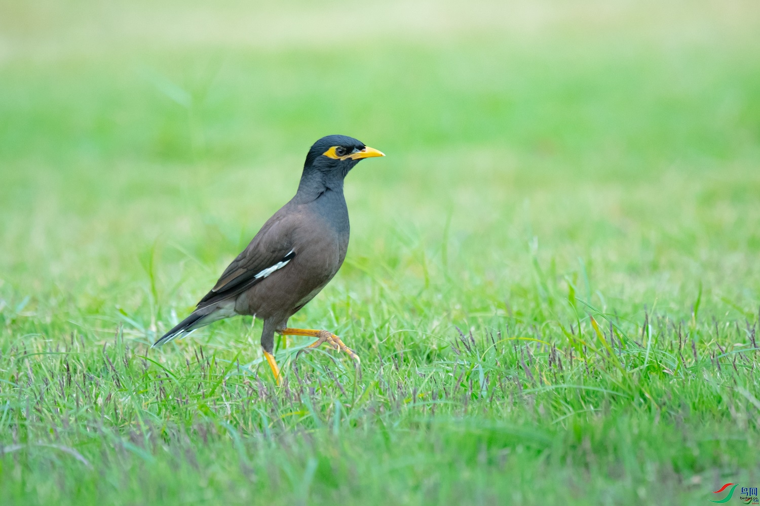 ����  ��ʦ�����ں���ʡ������������0.jpg