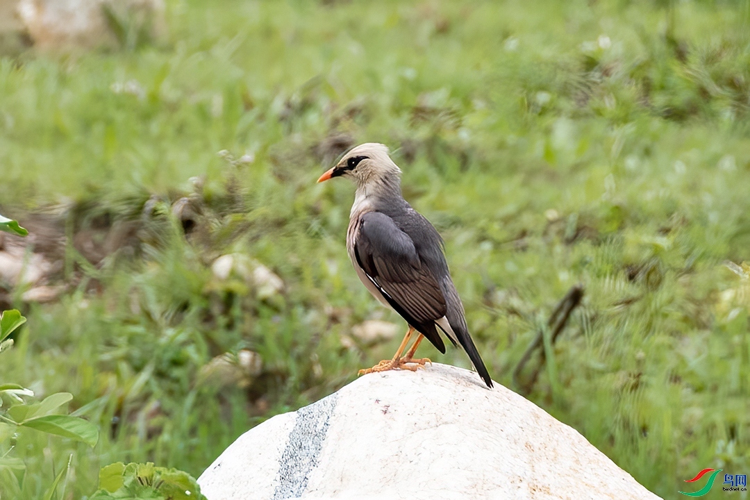 ��������  ��ʦ����������ʡ�º���徰����������ӯ����.jpg