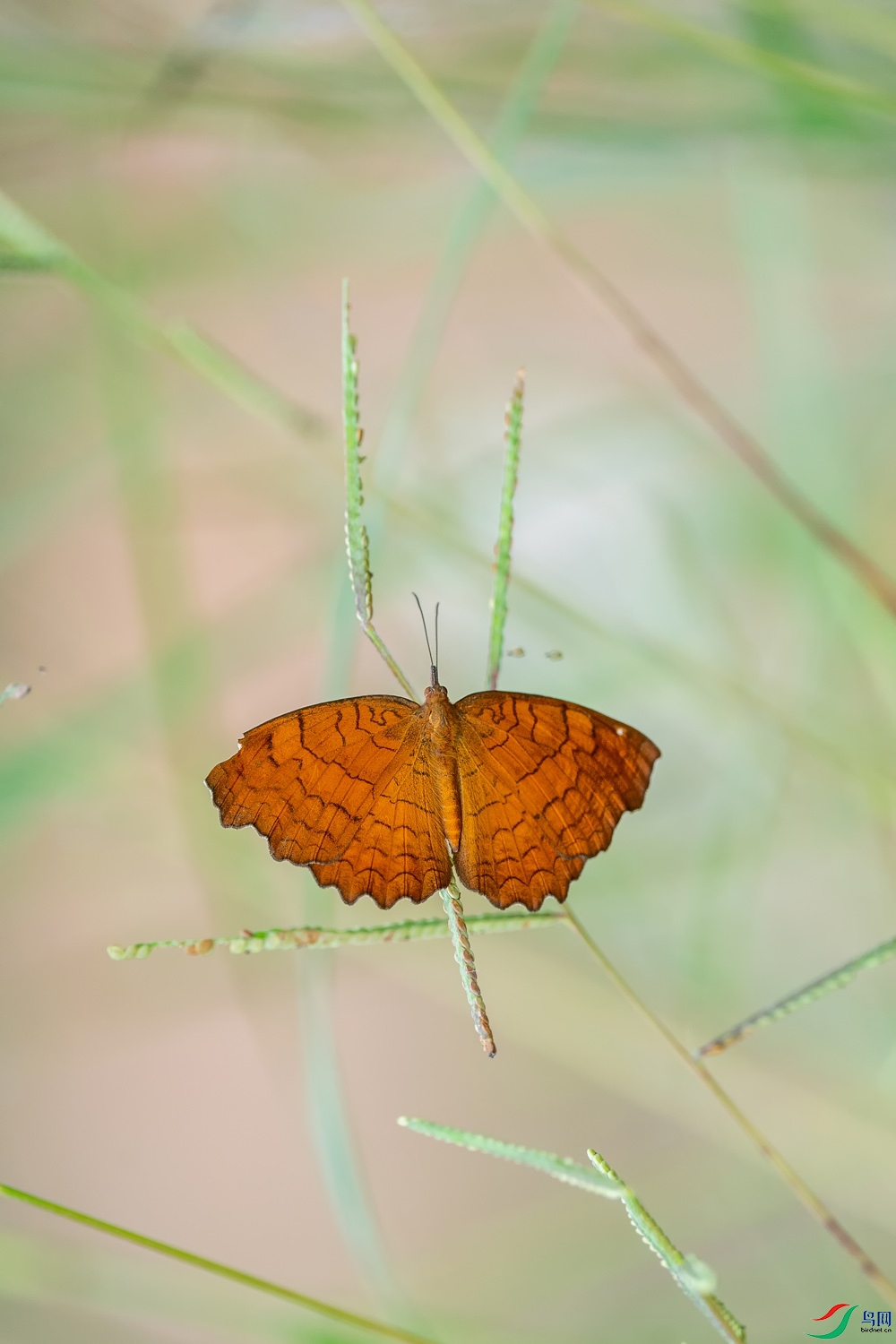 A9D05440a.jpg