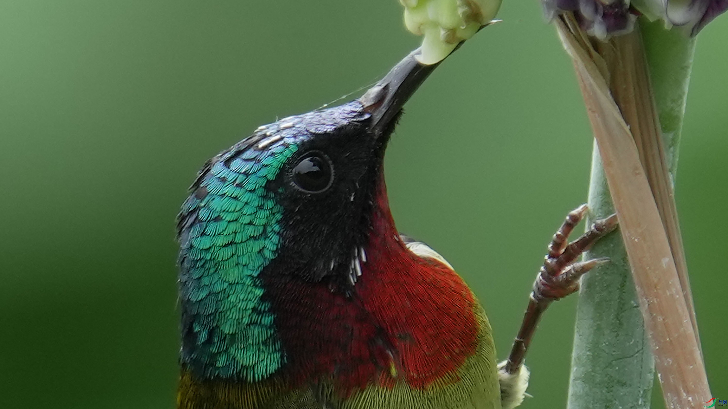 ���� A1 30/s �������