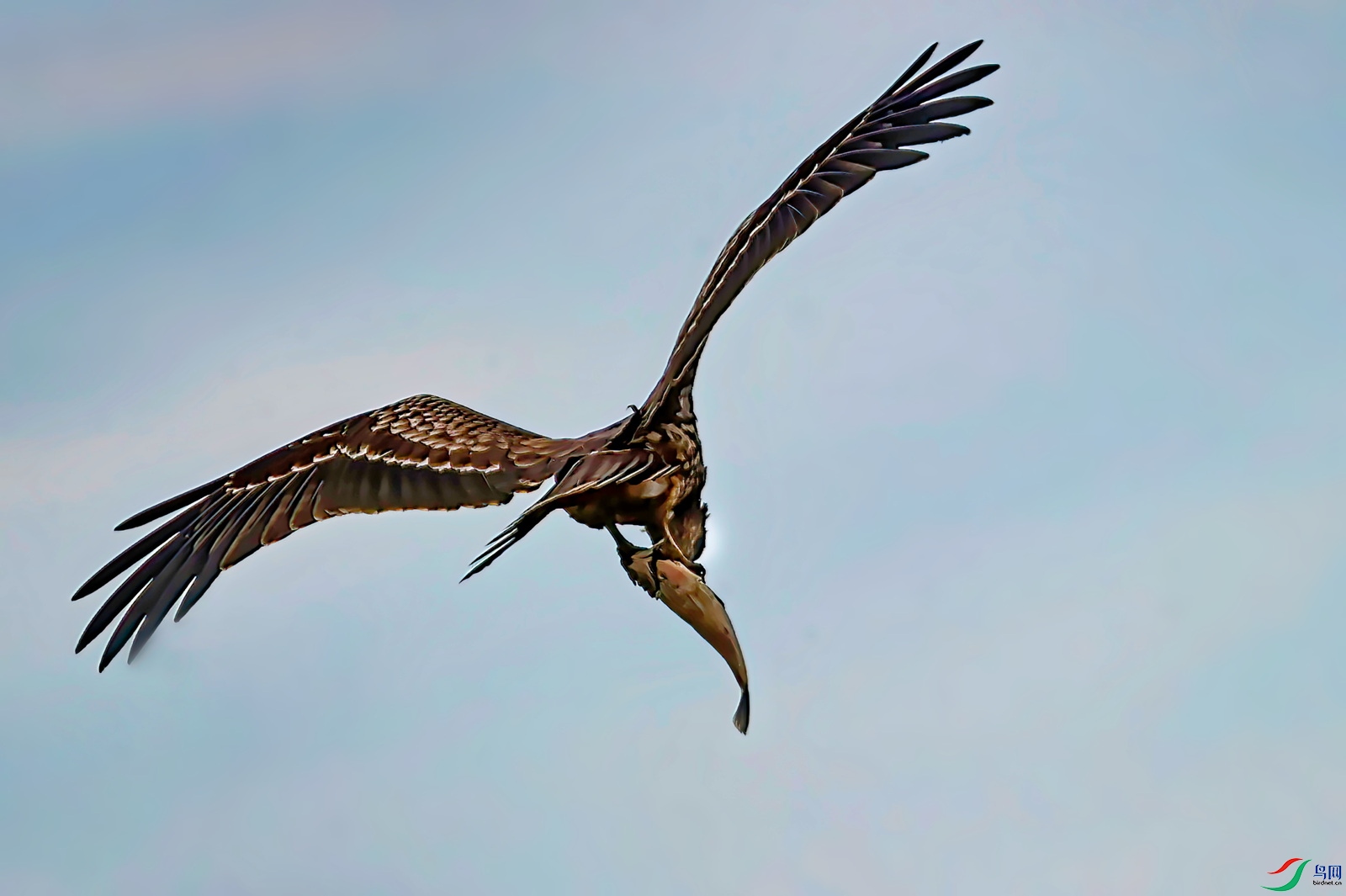 _DSC1507�ڶ��.jpg
