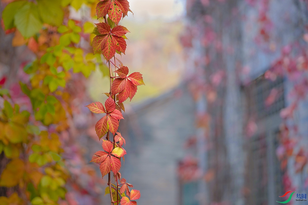 DSC09553fa.jpg