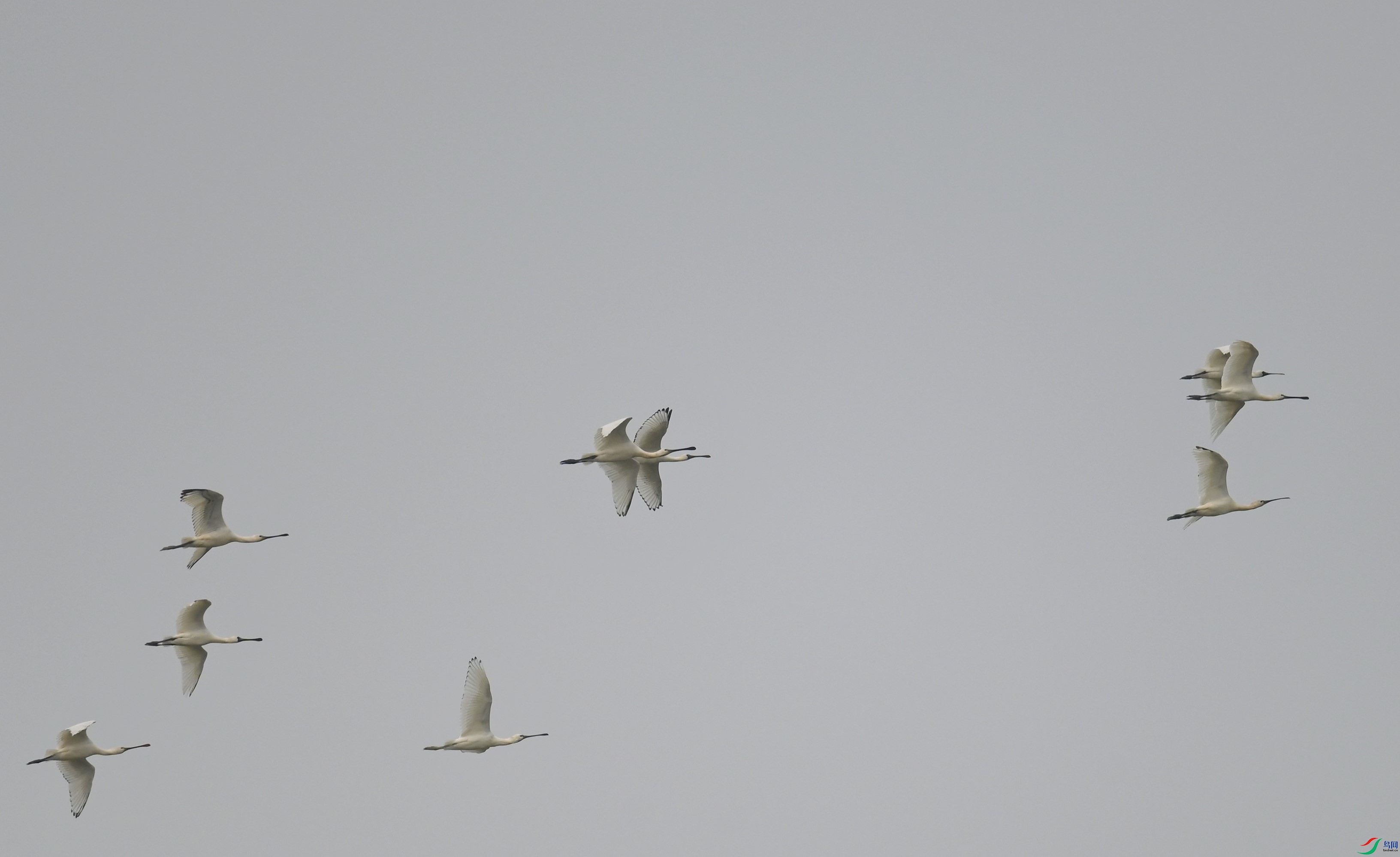 DSC_6387.JPG