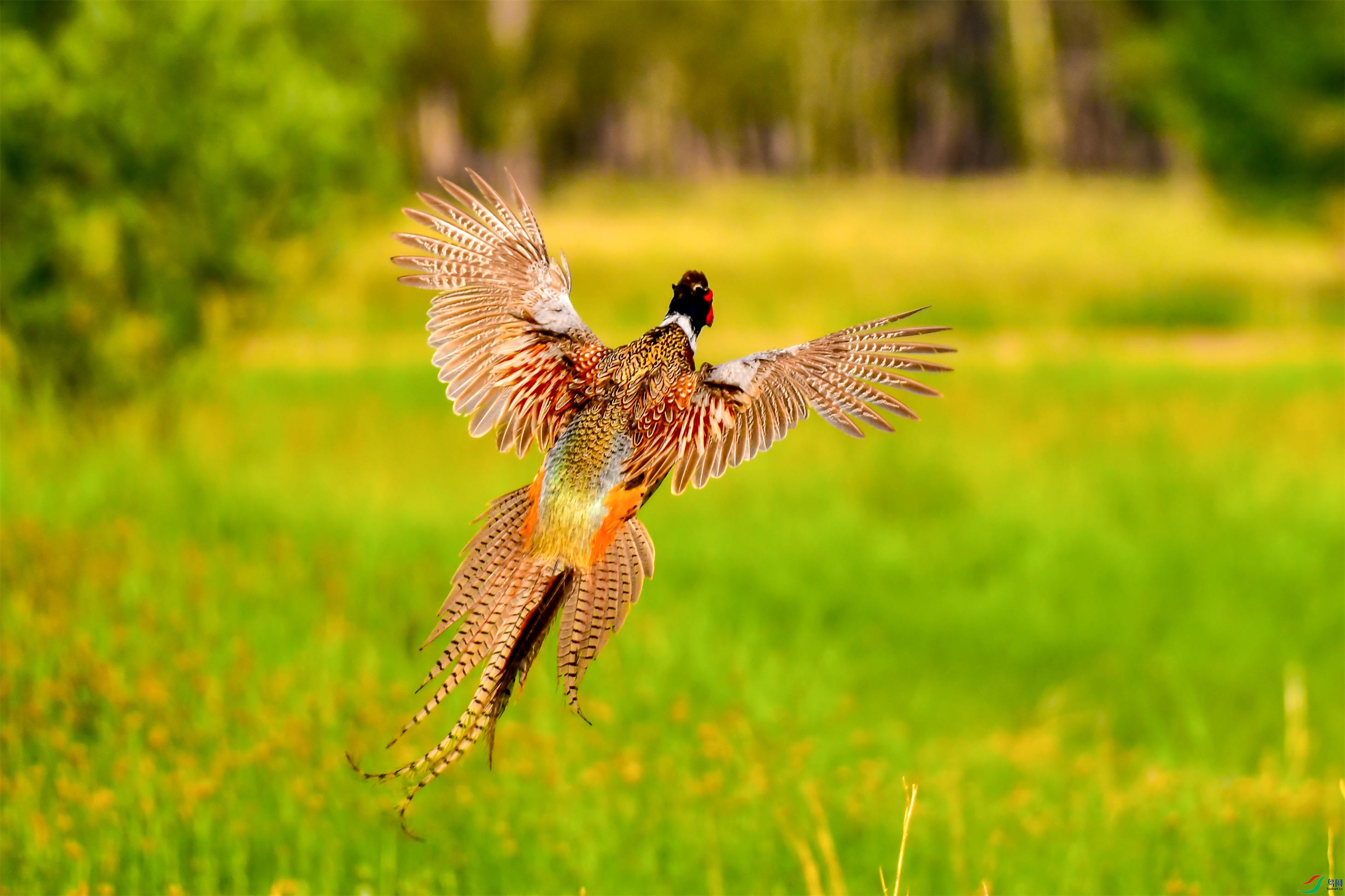 ���a����