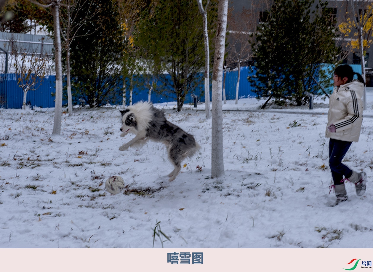 DSC_9185.jpg