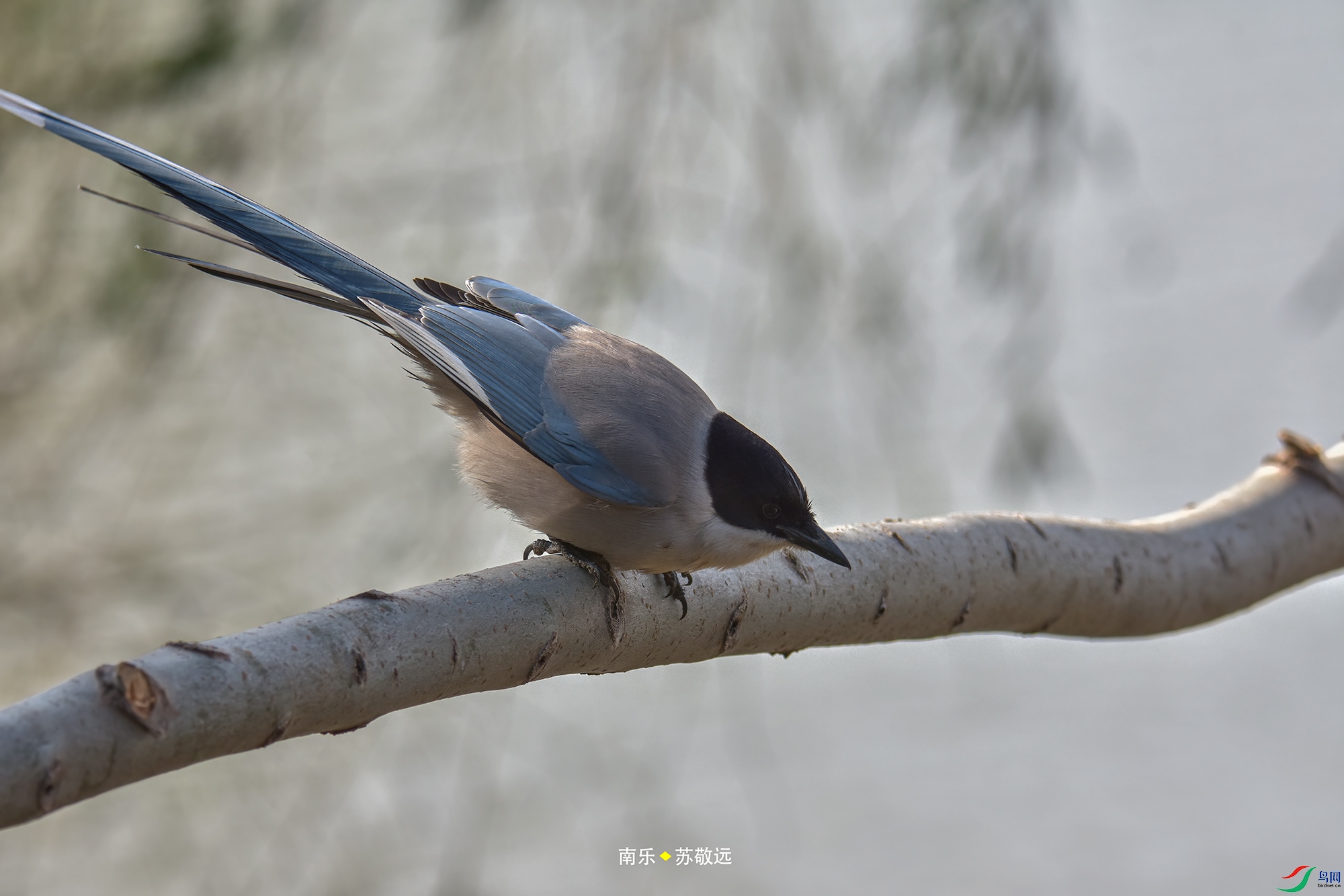 _DSC9651С.jpg