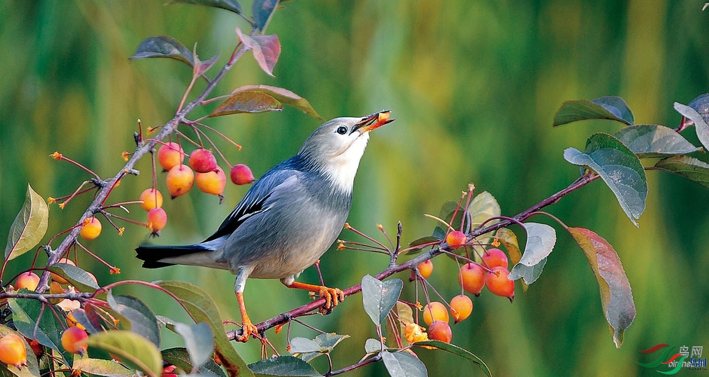 ������Ȼ  ��ʦ������ɽ��ʡ�ĳ���.jpg