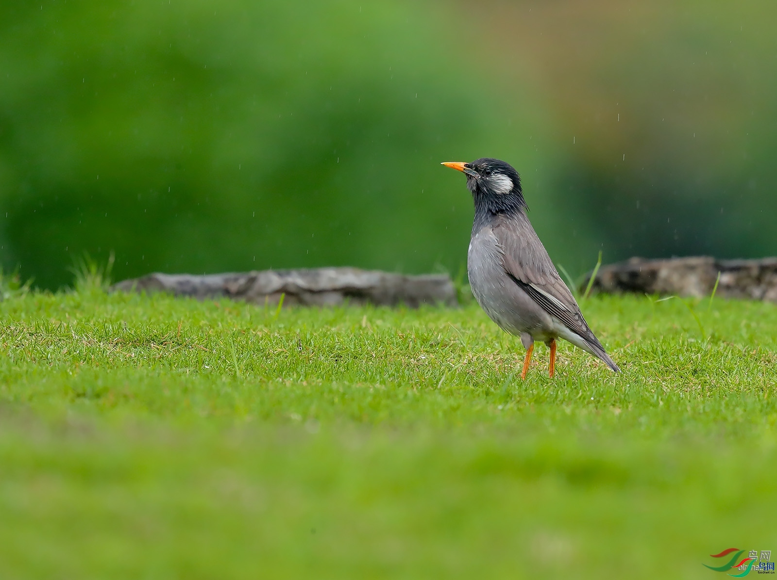 77089   ��ʦ�����������н�����.jpg