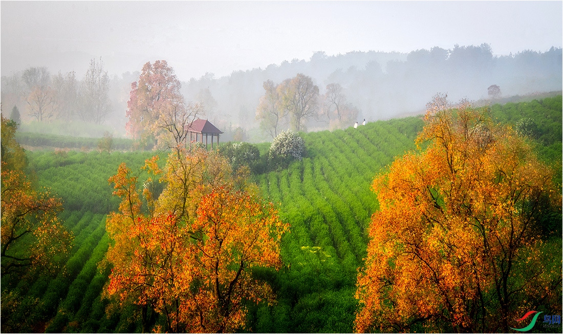 _DSC2731SSSSS    .jpg