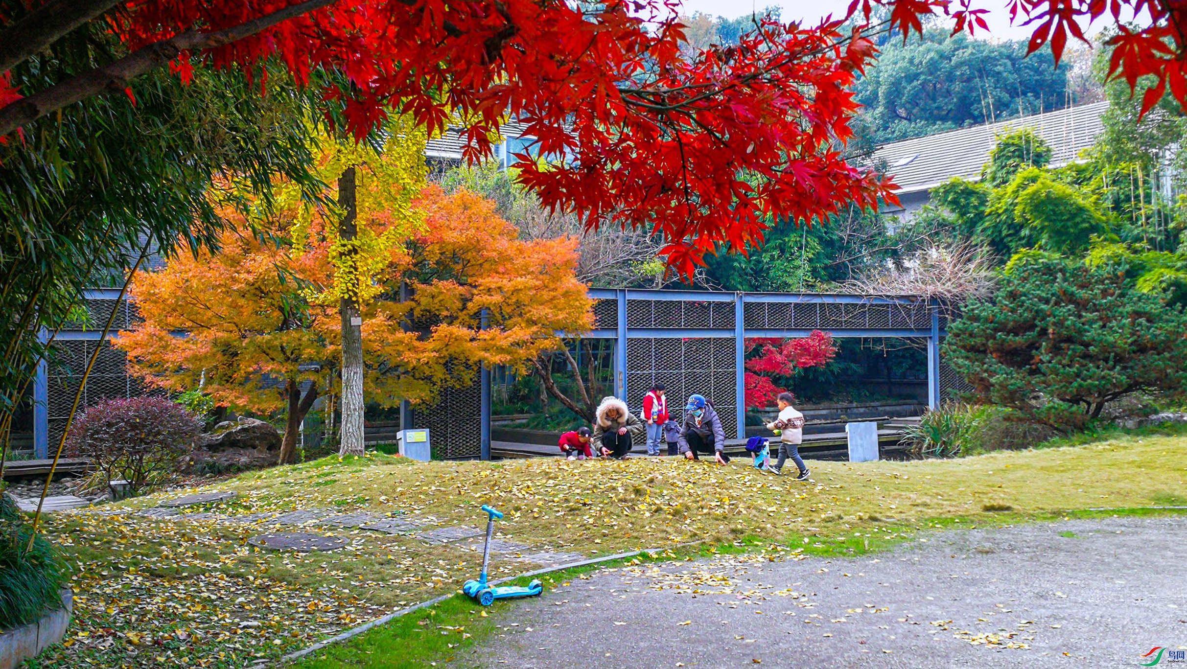 IMG_20201206_103306_1----1 .jpg