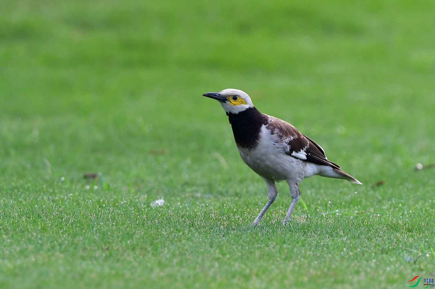 ���ܼδ�  ��ʦ�����ڸ���ʡ������0.jpg