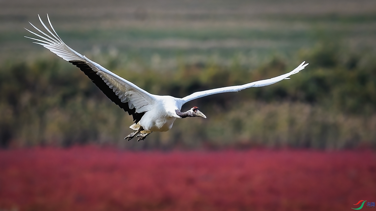 �������̽�ԧ�칵��