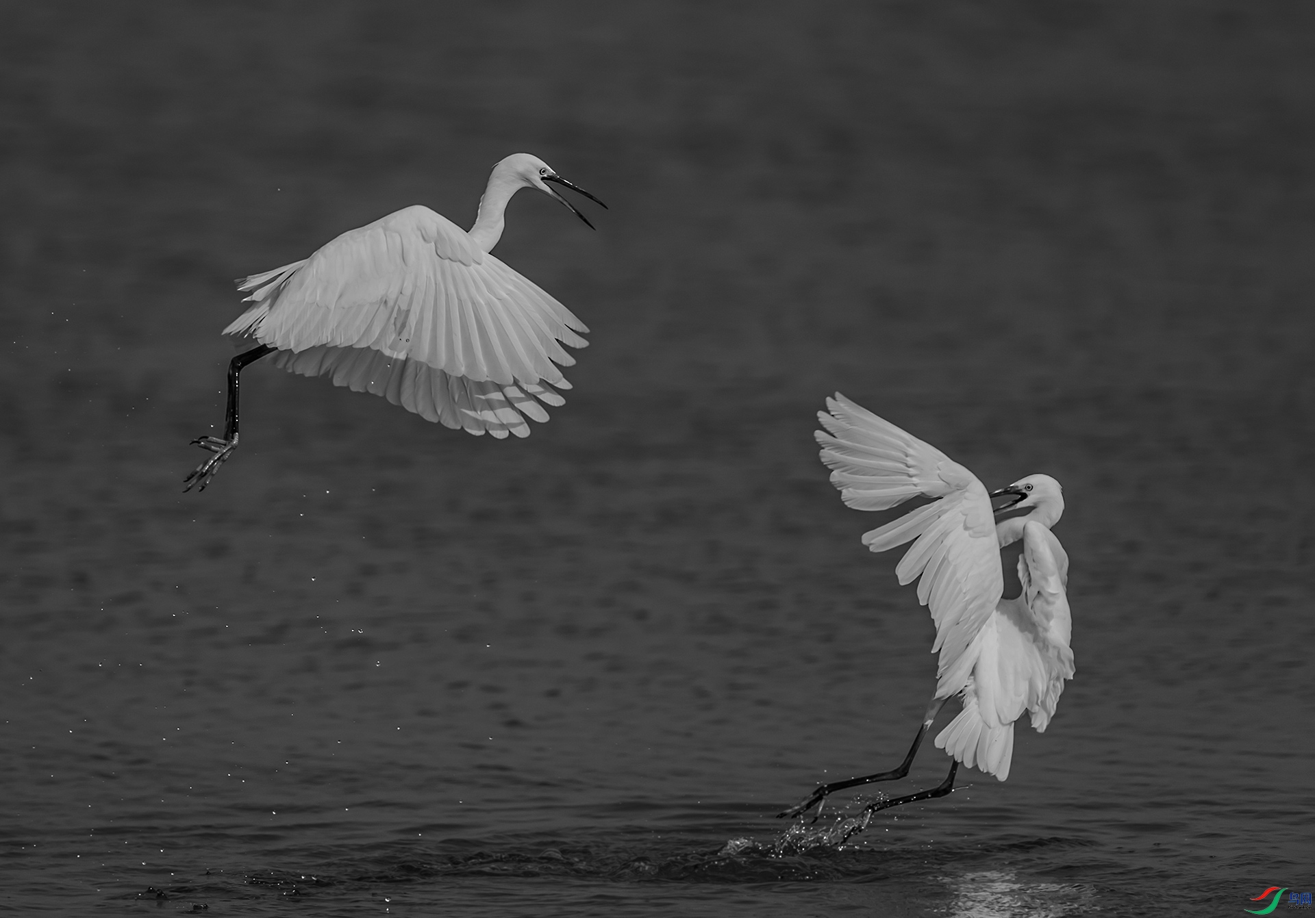 DSC_5943-0.jpg
