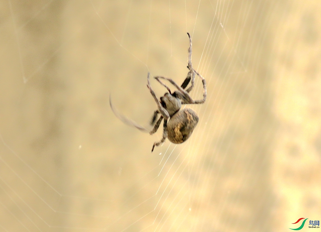 367A2632_����.jpg