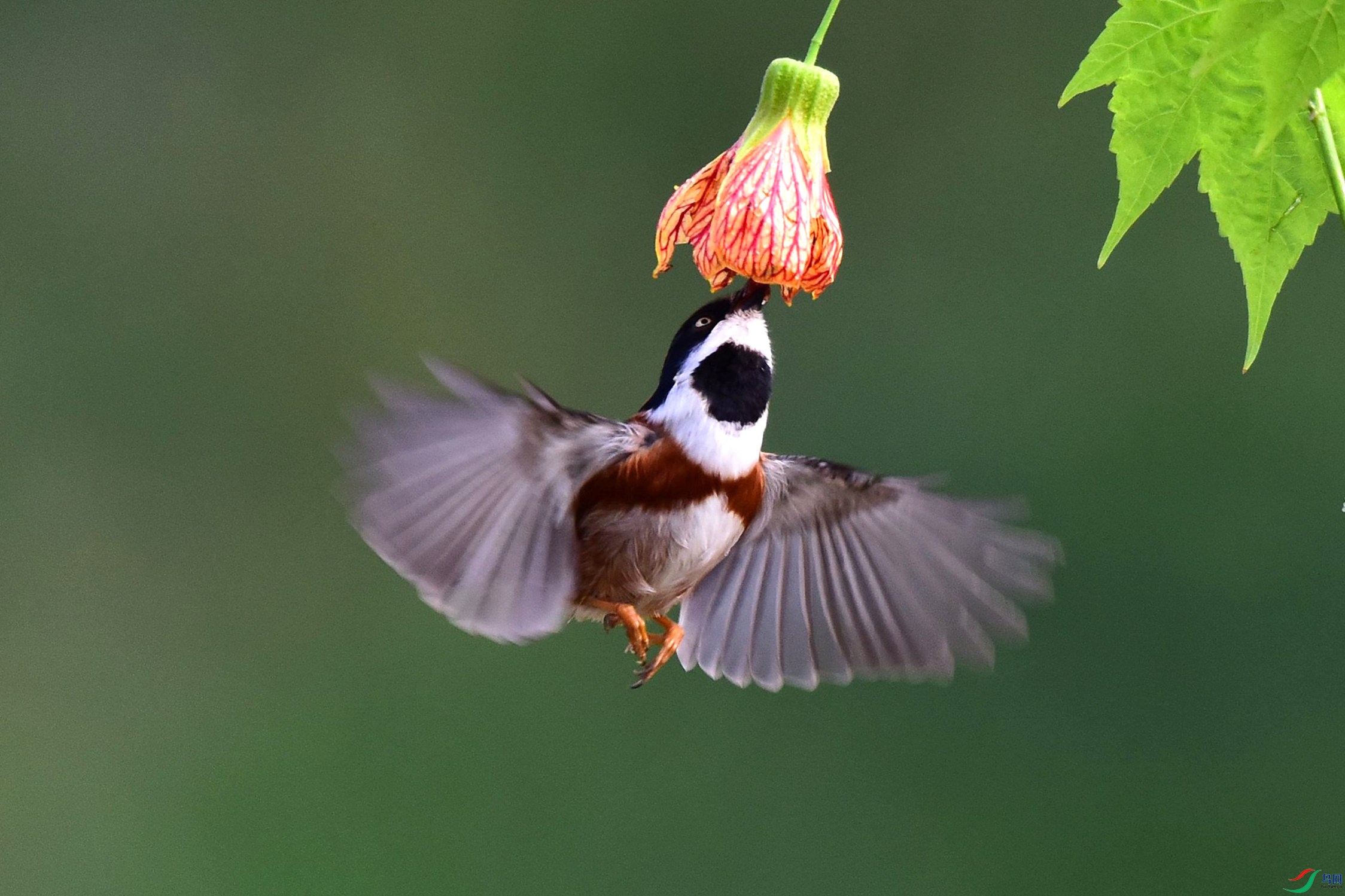 ɽ�� 428_����.jpg