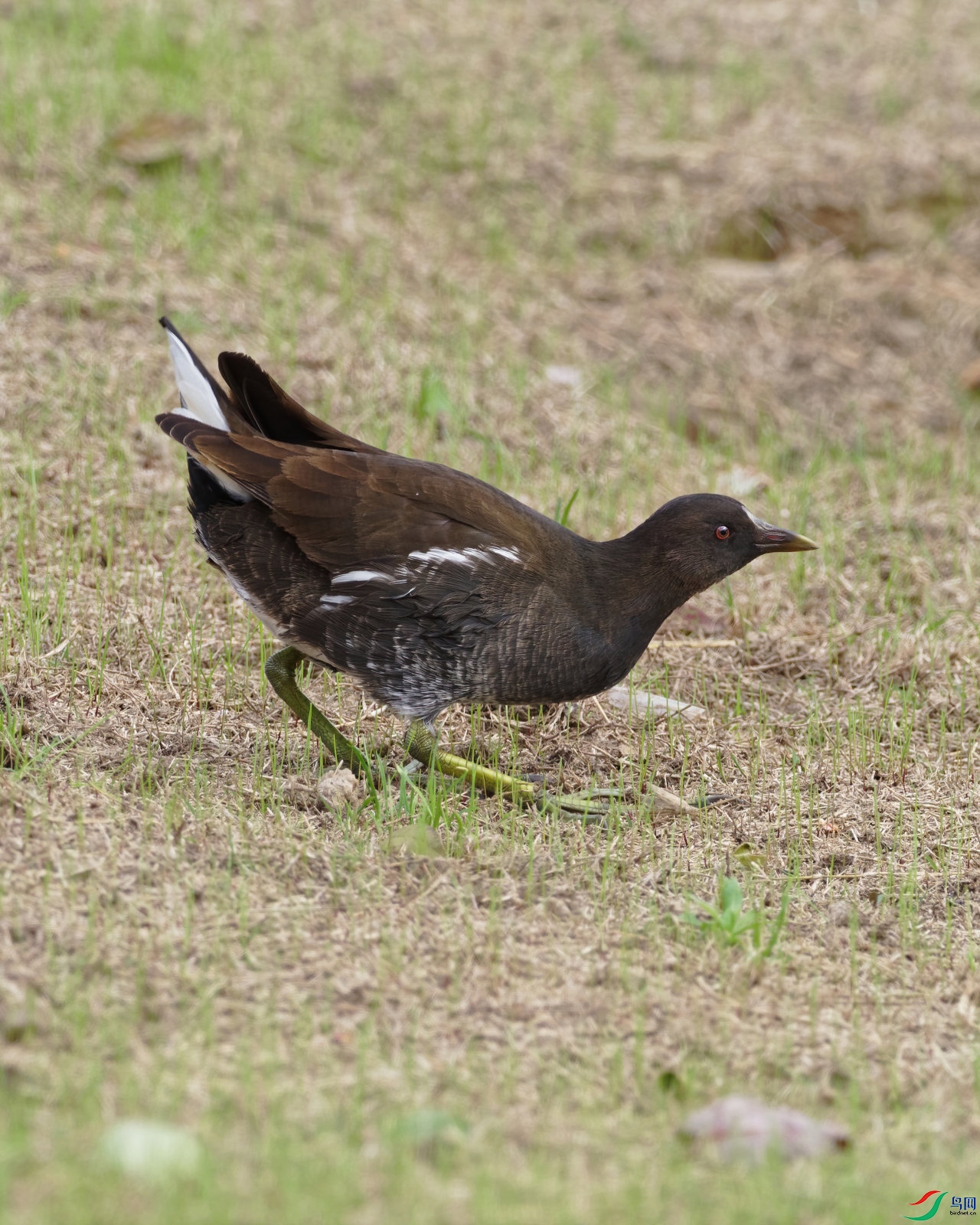 PB070408_DxO-d2.jpg