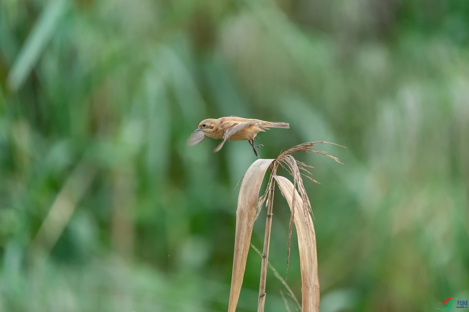 A9D04144-017.jpg