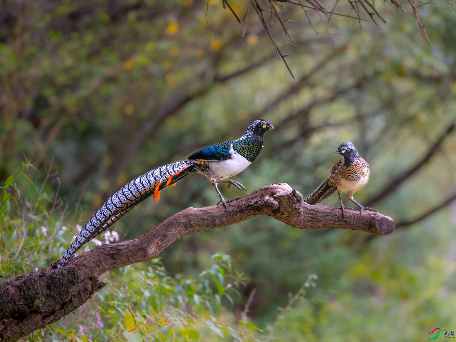 DSC_3203_��ͼ��.jpg