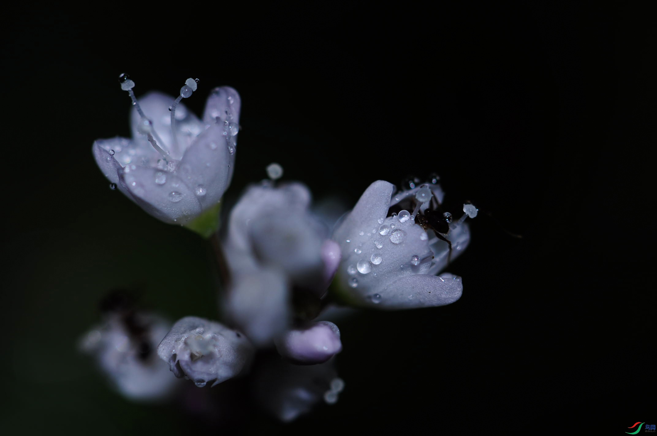_DSC3116.JPG